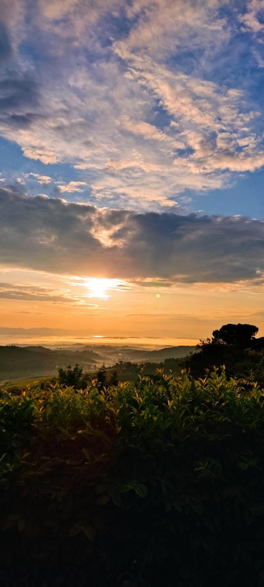 Villa Poliziana San Benedetto Montepulciano Stazione Eksteriør bilde